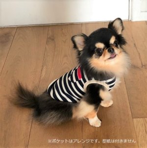 画像2: 犬服　タンクトップ型紙（パイピング仕様）　小型犬〜中型犬用